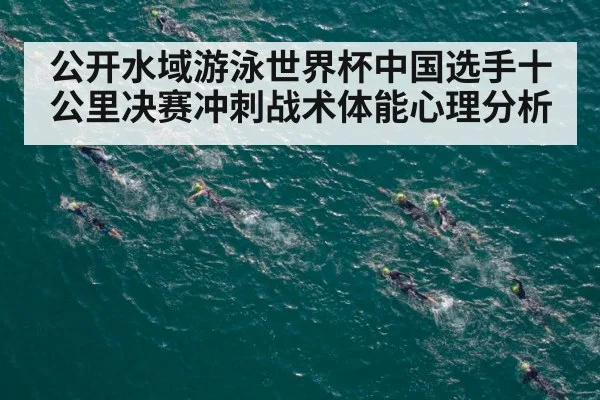 公开水域游泳世界杯中国选手十公里决赛冲刺战术体能心理分析