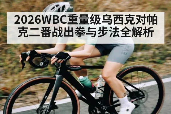 2026WBC重量级乌西克对帕克二番战出拳与步法全解析